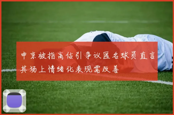 申京被指高估引争议匿名球员直言其场上情绪化表现需改善